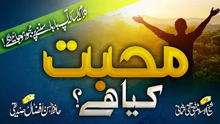 Heart touching kalam || Muhabbat Kia Hai || Hassan Afzaal Siddiqui || Mufti Taqi Usmani