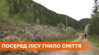 На рекультивацію грошей не знайшли: найбільше в Україні високогірне звалище