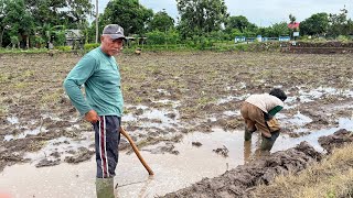 Tvlog Proses-Perkembangan: Padi,Terong,Tomat,Cabe,Kacang,Timun