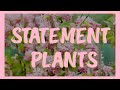 6 Statement Plants To Give Your Garden Some Personality