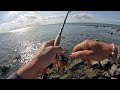 exploring weipa s land based lure fishing locations cape york