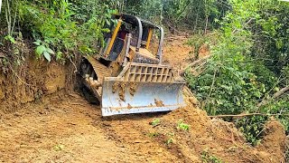 This is How Efficient to Use a Dozer to Clear Forest, Heavy Equipment Working on The Forests