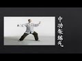 太极拳 太极拳 该练低架还是高架 ？ should tai chi be practiced low or high