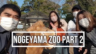 Nogeyama Zoo Part 2