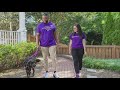 Purple Leash Project: Program helps foster animals of domestic violence survivors