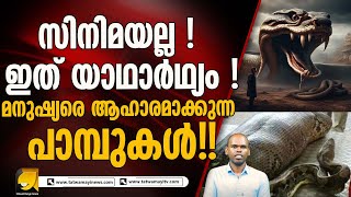 മനുഷ്യരെ ആഹാരമാക്കുന്ന പാമ്പുകൾ!! സിനിമയല്ല ഇത് യാഥാർഥ്യം ! | SNAKES