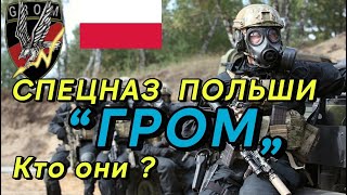 СПЕЦНАЗ ПОЛЬШИ \