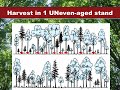 nrm 101 lecture forestry pt.3 silviculture