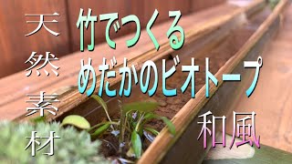 【メダカの飼育】これぞ和風？天然素材で作る　メダカのビオトープ