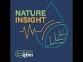 nature insight an ipbes podcast trailer