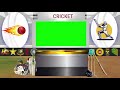 green screen Virtual sports cricket studio.Chroma key.  free use.