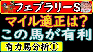 フェブラリーステークス2023年の予想オッズ上位馬分析！レモンポップ・ドライスタウト・メイショウハリオ