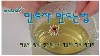 민트이야기1 :허브차 민트티 만들기 How to make mint tea from dried mint leaves