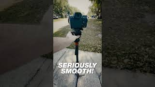 You NEED this Monopod! iFootage Cobra 3