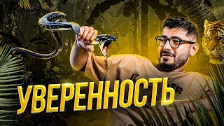 Уверенность в себе — это 90% успеха! Как стать уверенным за 5 минут