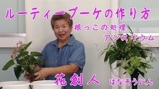 ギャザリング水苔で観葉植物【ルーティブーケの作り方】2/10根の処理アンスリューム編／花創人はなそうにん岐阜愛知寄せ植えハンギングバスケット教室