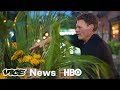 This Florist Secretly Plants Flower Arrangements Around NYC (HBO)