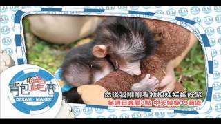 2015.04.19《背包踐客-米可白》預告　照顧動物愛心滿溢　洋蔥指數破表...