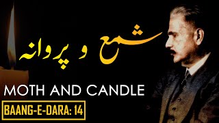 Baang-e-Dara: 14 | Moth and Candle | Shama-o-Parwana | Allama Iqbal | Iqbaliyat | AadhiBaat