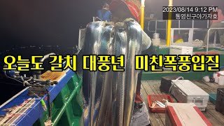 8월 14일 초저녁조황부터 새벽철수시 조황까지 전원만쿨은 이런것~^^