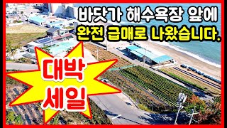 [급매물 - 대박세일] 동해바다 코 앞 바닷가 주택 바닷가 토지 매매 포항부동산 장기면 대진리 바닷가 주택매매 바닷가 토지매매. 바닷가 전원주택매매 포항주택매매 #착한부동산