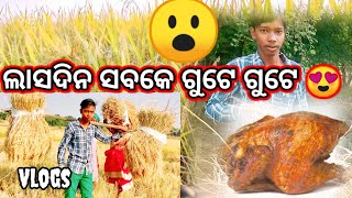 Farming kisan #sambalpuri vlogs ||dhan vlogs||ହାମର ଧାନ