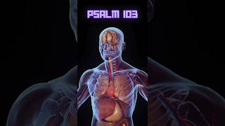 Psalm 103:2-3 – The Lord Who Heals and Forgives