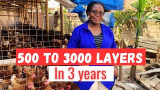 How to grow your poultry farm successfully/ How i have grown from 500 to 3000 layers