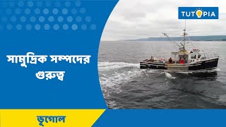 Class 11 Geography Importance of Marine Resources বারিমন্ডল/Hydrosphere ,সামুদ্রিক সম্পদের গুরুত্ব