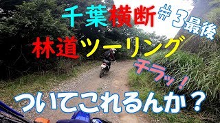 千葉林道ツーリング#3 柚ノ木線-復路快走！