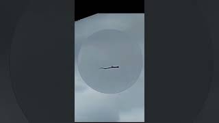 A netizen captured a video of a large snake-like object in the sky #short #shorts  #shortsvideo