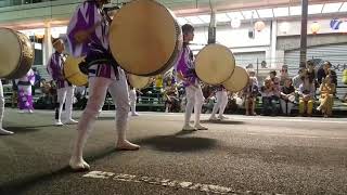 2019 8月12日 徳島阿波おどり