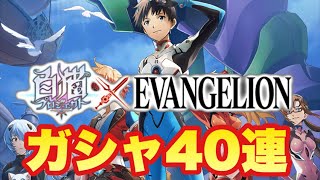 【白猫】エヴァンゲリオンコラボガチャ！４０連