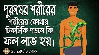 পুরুষের শরীরের কোথায় টিকটিকি পড়লে কি ধরনের ফল লাভ হয়। Astrologer-Dr.K.C.Pal