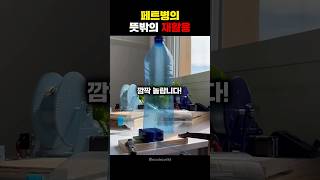 페트병의 뜻밖의 재활용