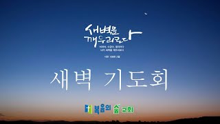 복음의 숲교회 새벽기도회(2025. 2. 5) | 느헤미야 4장 15-23절 | 영적 싸움에서 승리하는 비결 | 하정웅 목사