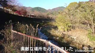 【パワースポット】県立七沢森林公園