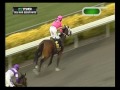 2013 del mar debutante stakes she s a tiger