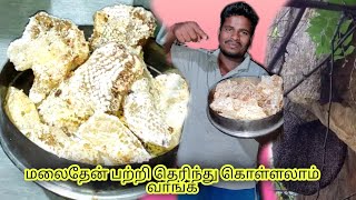 √மலைத்தேன் ரகசியம்.∆#honey #honeybee #hills #nacional #beehoney   #oddanchatram #tamilnadu