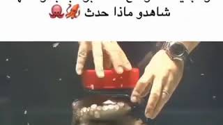 شوف ذكاء الاخطبوط