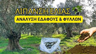 ΛΙΠΑΝΣΗ ΕΛΙΑΣ - ΑΝΑΛΥΣΗ ΕΔΑΦΟΥΣ \u0026 ΦΥΛΛΩΝ