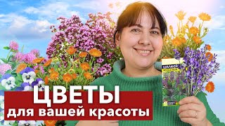 ДЛЯ ЗДОРОВЬЯ, КРАСОТЫ И МОЛОДОСТИ! Обязательно посадите у себя на участке эти растения!