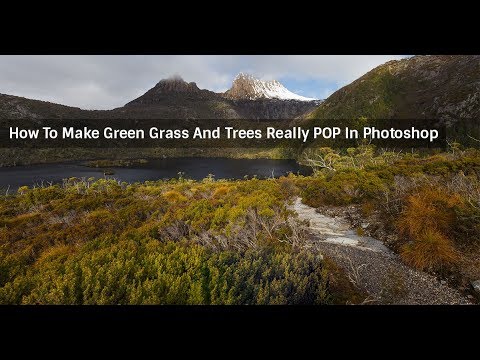 How To Make Green Grass And Trees Pop In Photoshop How To Make Green Grass And Trees Pop In Photoshop