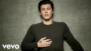 Shawn Mendes In My Blood Music