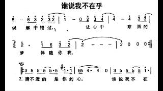 谁说我不在乎/誰說我不在乎 C调伴奏 - instrumental in C