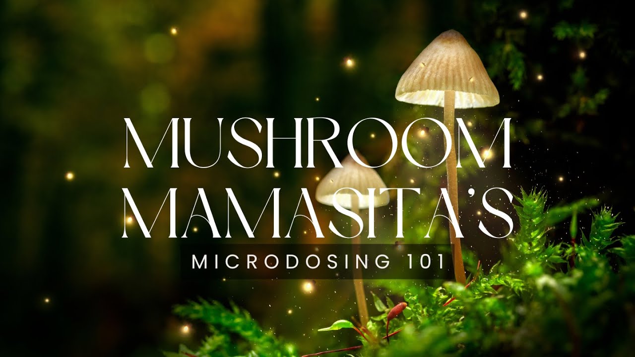 Microdosing 101 Youtube