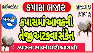 કપાસમાં તેજી ક્યારે, કપાસની હાલત ખરાબ, કપાસ બજાર,  KAPAS NA BHAV, 13.2.25, ફાર્મર માર્કેટ