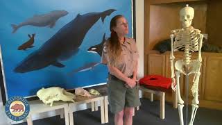 Winter’s Junior Ranger Program