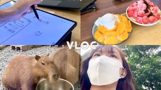 台大生vlog｜實習生活·onboard 前的台南小旅行🚗·work with me（ft. Samsung🌟）