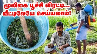 மூலிகை பூச்சி விரட்டி வீட்டிலேயே easy -யா தயாரிக்கலாம் | organic pesticides